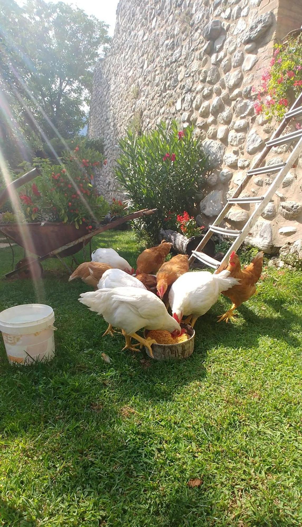 Agriturismo San Giovanni Ad Insulam Isola del Gran Sasso dʼItalia エクステリア 写真