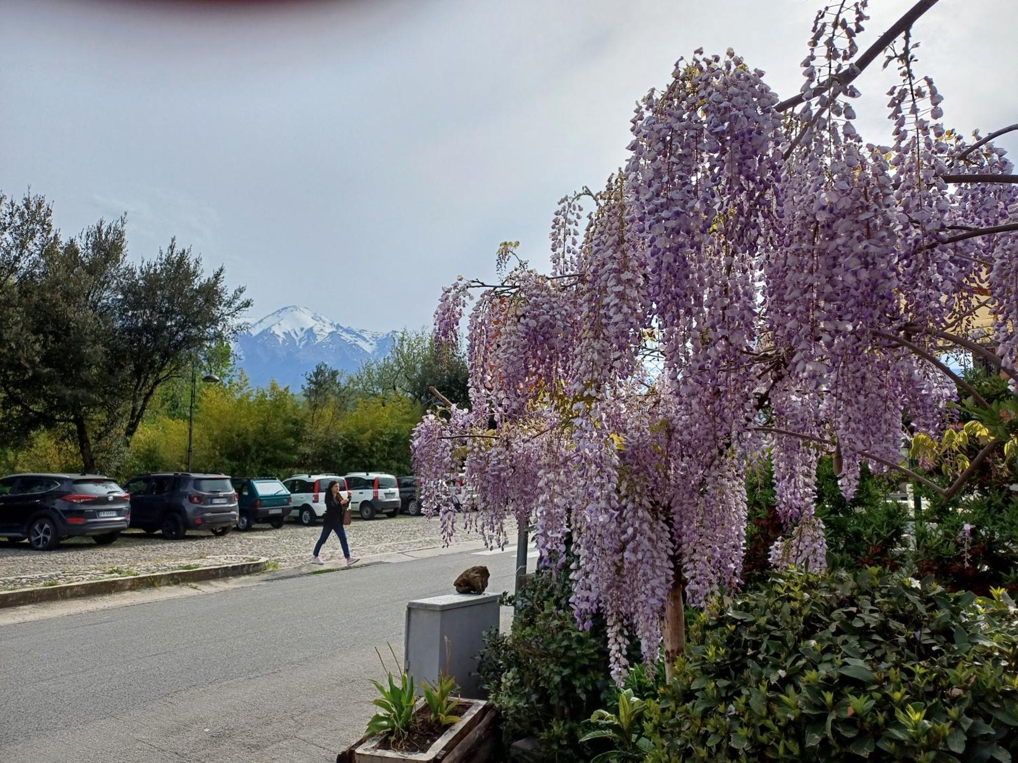 Agriturismo San Giovanni Ad Insulam Isola del Gran Sasso dʼItalia エクステリア 写真