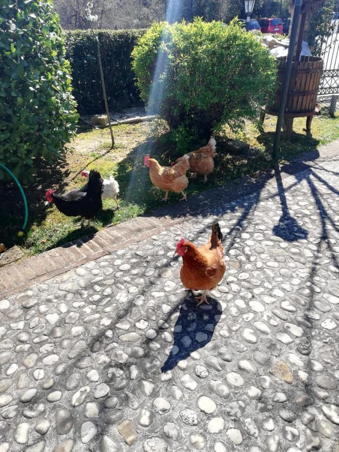 Agriturismo San Giovanni Ad Insulam Isola del Gran Sasso dʼItalia エクステリア 写真
